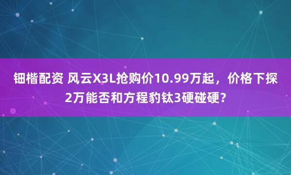 钿楷配资 风云X3L抢购价10.99万起，价格下探2万能否和方程豹钛3硬碰硬？