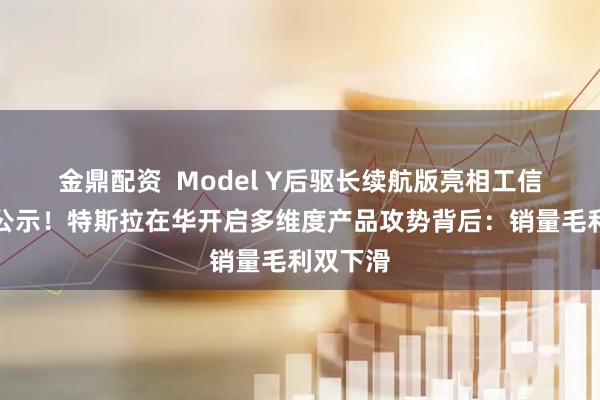 金鼎配资  Model Y后驱长续航版亮相工信部新车公示！特斯拉在华开启多维度产品攻势背后：销量毛利双下滑